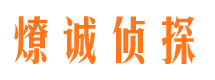 电白调查事务所